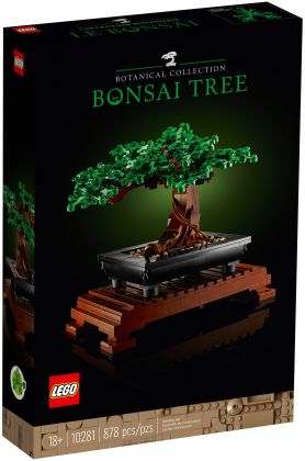 Bonsaï