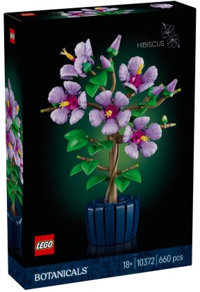 Hibiscus