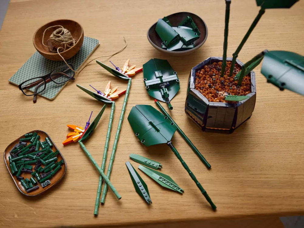 L’oiseau de paradis