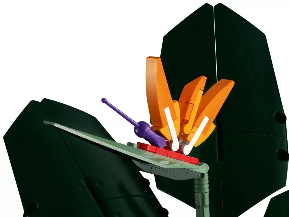 L’oiseau de paradis