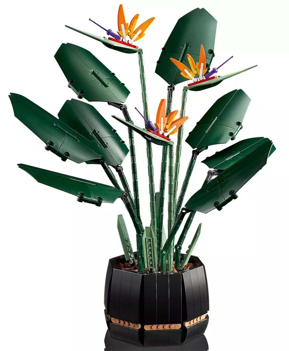 L’oiseau de paradis