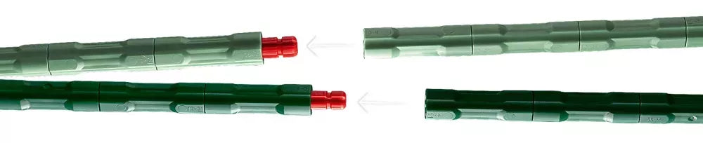 L’oiseau de paradis