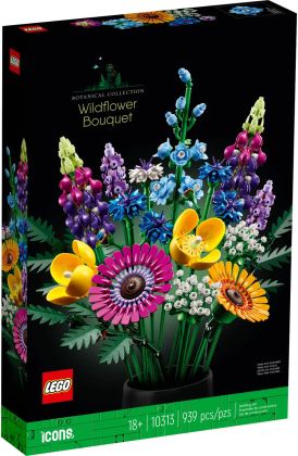 Bouquet de fleurs sauvages