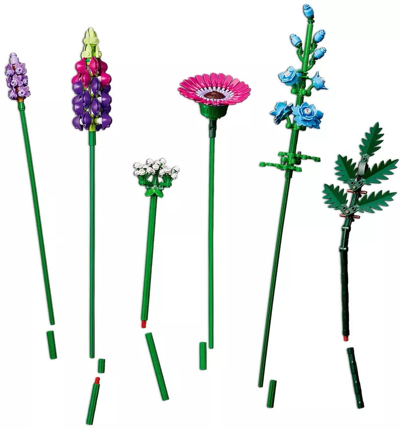 Bouquet de fleurs sauvages