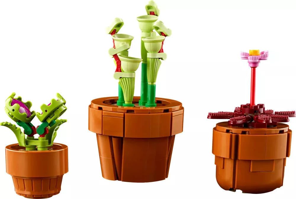 Les plantes miniatures