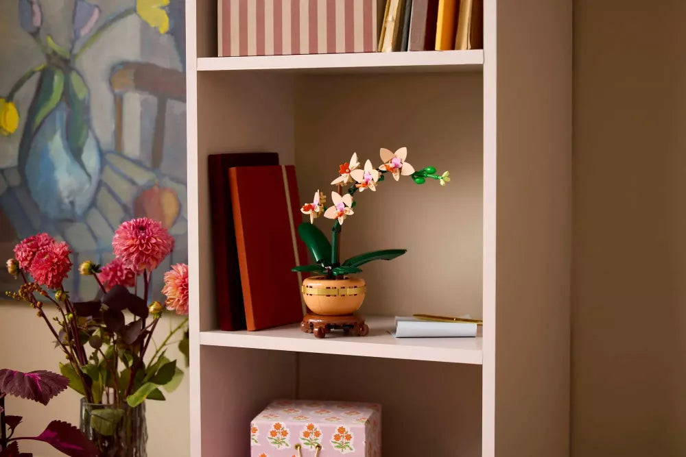 L’orchidée miniature