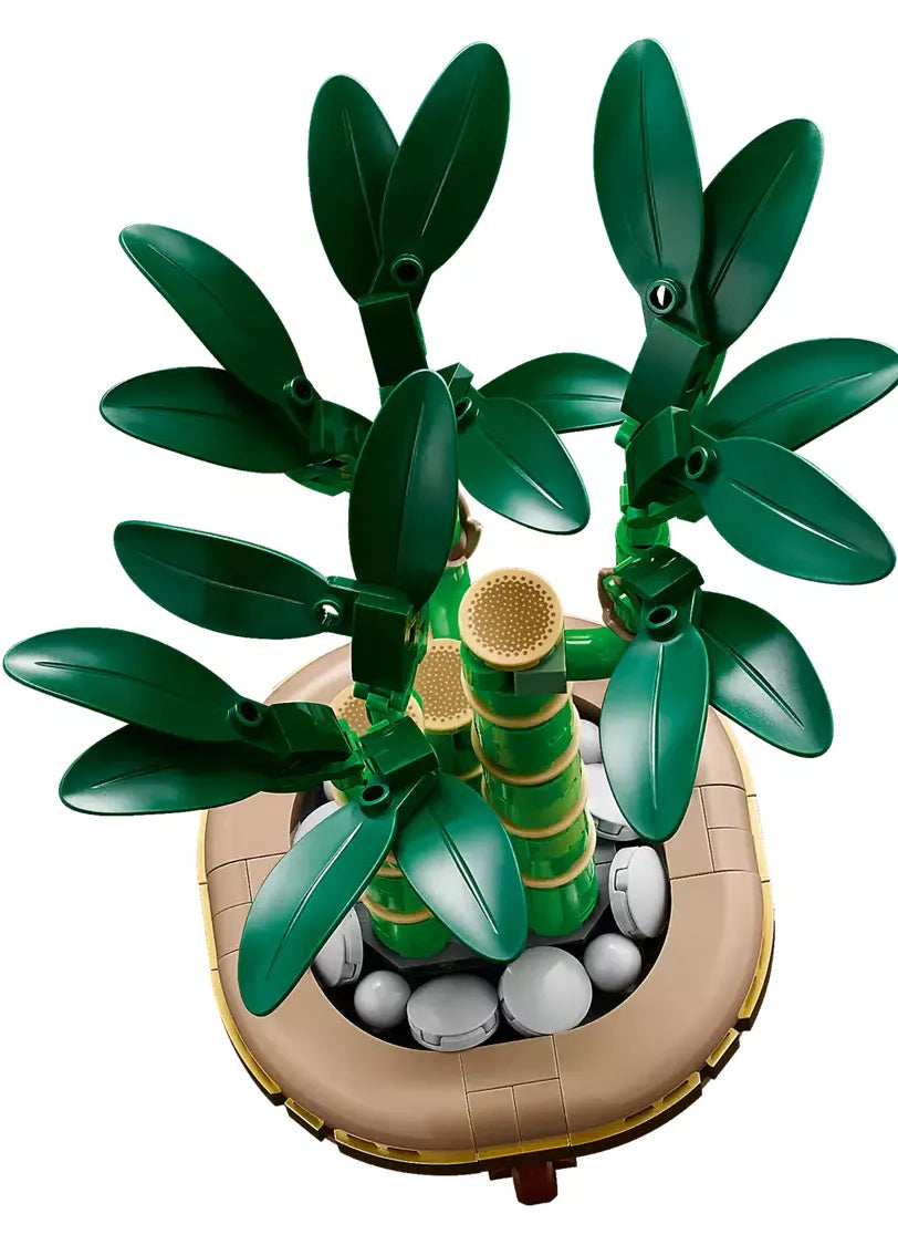 Le bambou de la chance