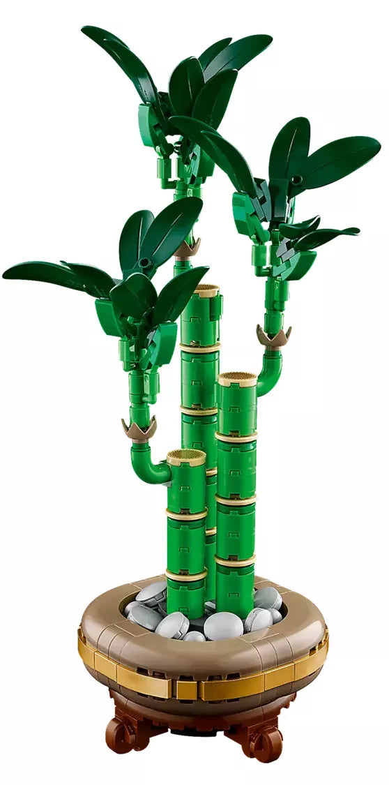 Le bambou de la chance