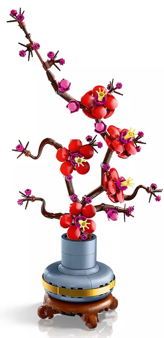 Les fleurs de prunier