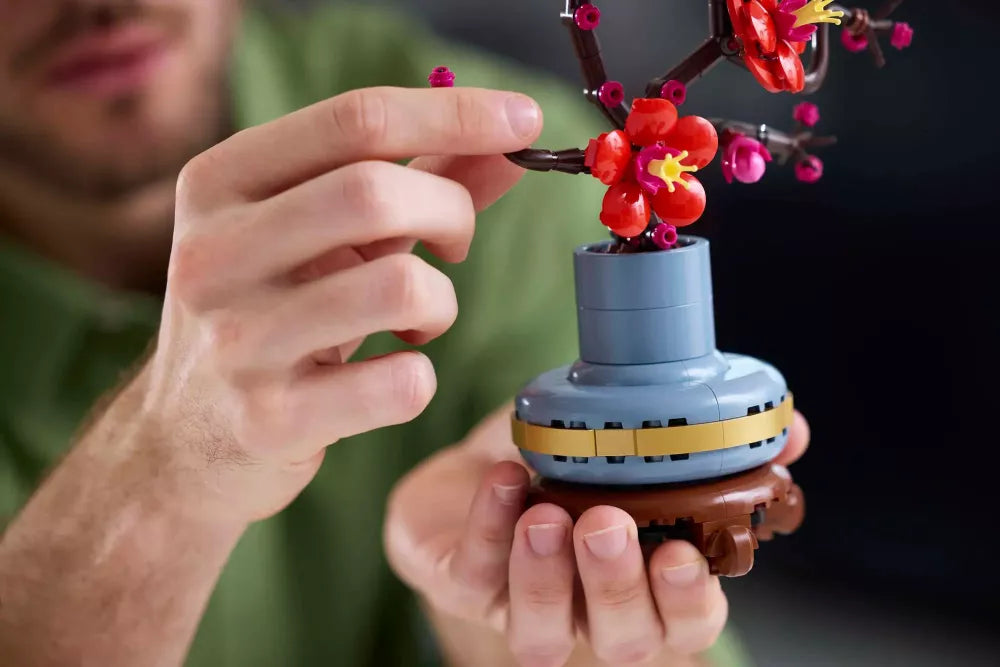 Les fleurs de prunier