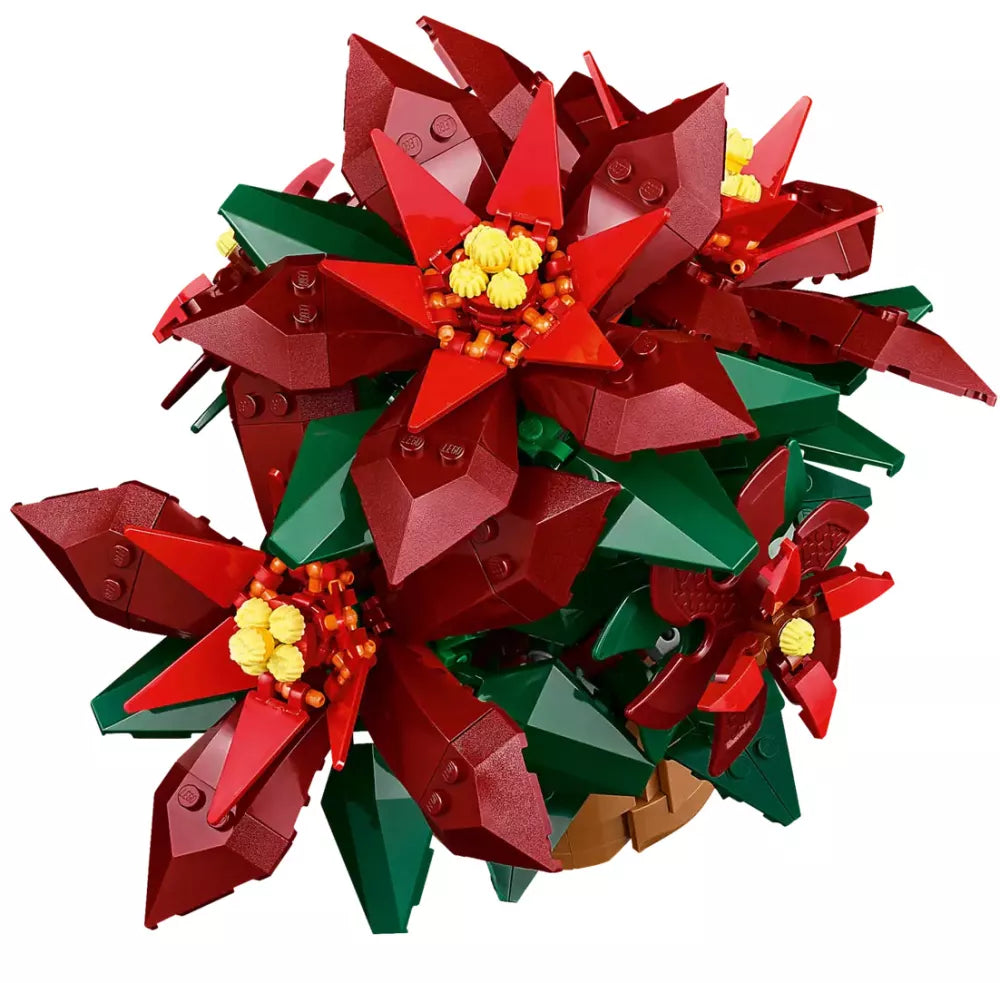 L’étoile de Noël