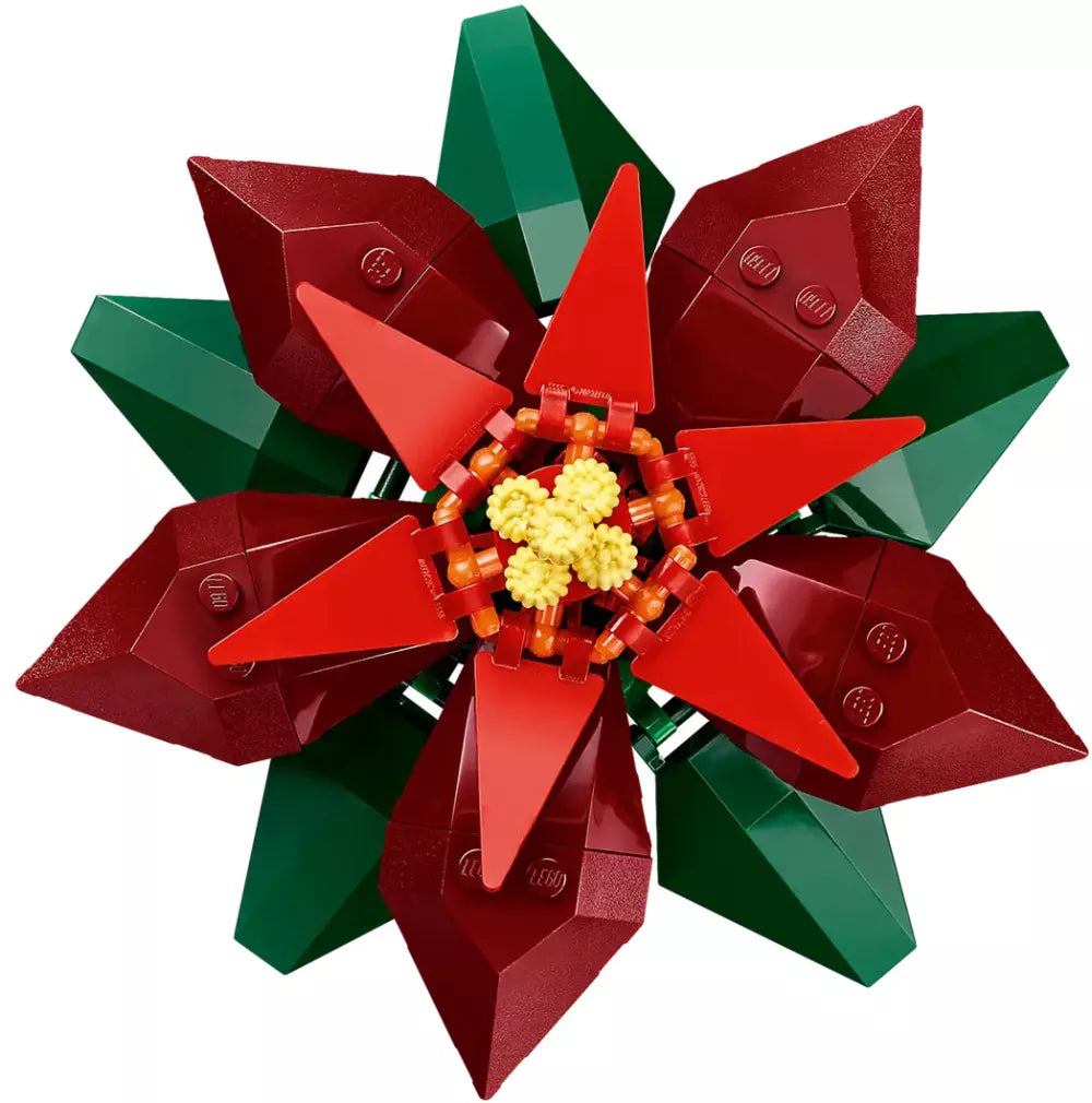 L’étoile de Noël